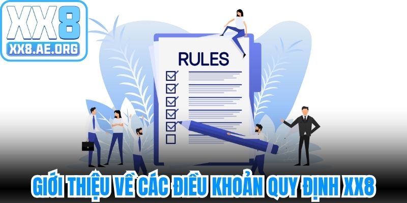 Giới thiệu sơ lược về các điều khoản quy định XX8